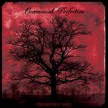 Ceremonial Perfection : Imagination's Chaos